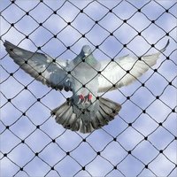 Anti Bird Net - Nylon Material, 20 Mm Mesh, White Color | Easy Installation, Weather Proof, Maintenance Free, Uv Stabilized, 5-year Warranty
