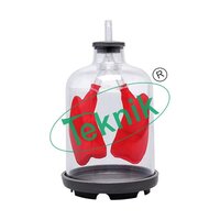 Pulmonary Ventilation Model - Dimensions: 260 X 150 X 350 Mm | Applications: Biology Models, Usage: Education And Training In Respiratory Physiology