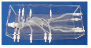 Arterial Model With Atherome