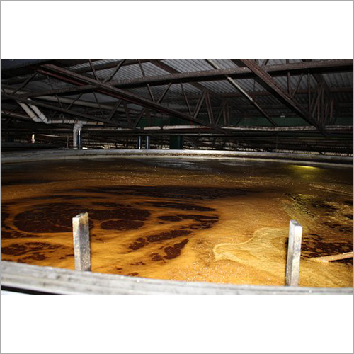 Protease Enzyme - Food Grade | 6 Months Shelf Life, Room Temperature Storage, Yeast Growth Enhancer, Malt Improvement