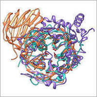 Invertase Enzyme - Food Grade Powder, 100% Purity , White Color , 1 Year Shelf Life , Ideal For Food Industries