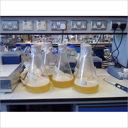 Aerobic Culture Enzyme Grade: Industrial Grade