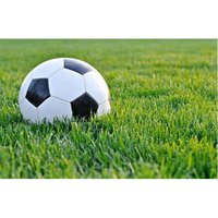 Fifa Approved Turf - Pvc Material, 2m X 25m Size, Green Color, 50mm Pile Height | Easy To Install, Non-slip, Environmentally-friendly Features