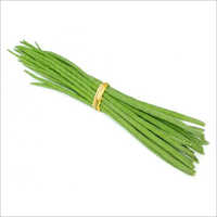 Fresh Drumstick - Organic, 6-8% Moisture | Green Vegetable For Diverse Recipes, Blood Purification & Skin Health