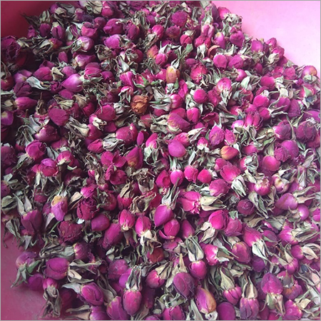 Red Rose Buds