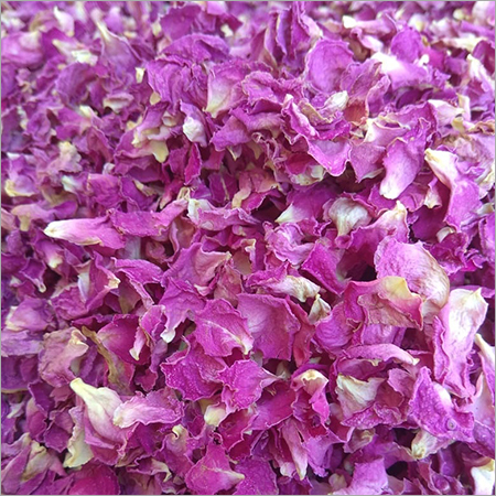 Pink Rose Petals