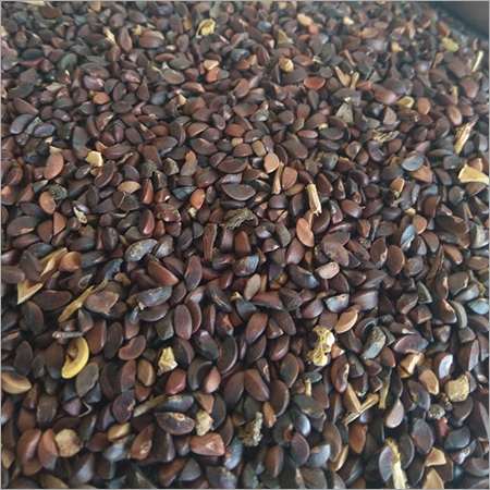 Avla seeds
