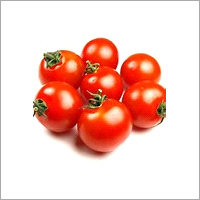 Round Red Tomato