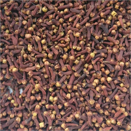 Black Clove - Whole Dried Spice, Brown Color, <12% Moisture | High Antioxidants, Dietary Fiber, Culinary Flavoring