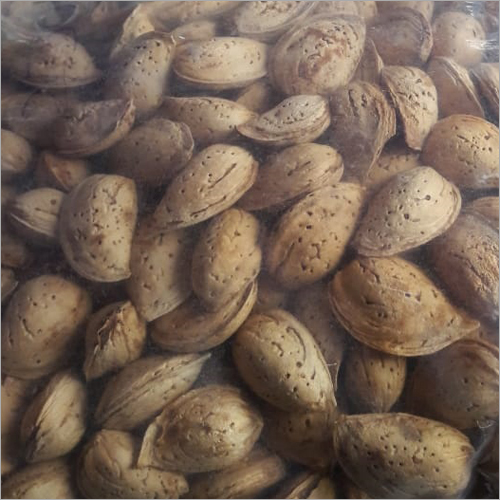 Natural Shell Almond