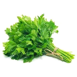 Coriander