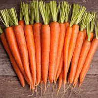 Instant Canned Carrot