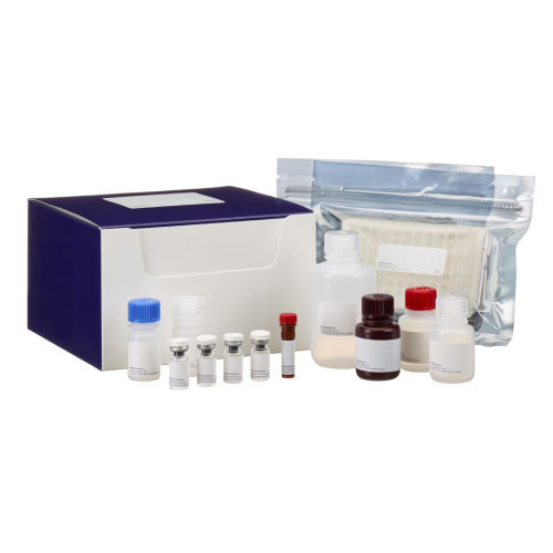 Human Orosomucoid 2 ELISA Kit