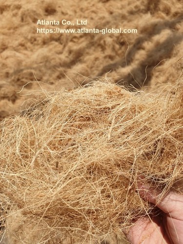 Coconut Coir Fibre