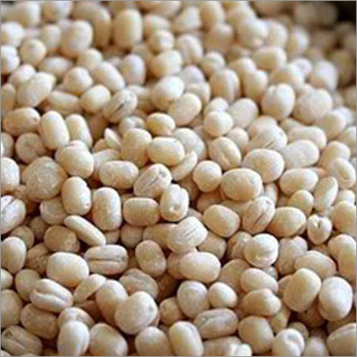 Urad Dal At Best Price In Chennai Tamil Nadu Ampa Exim Pvt Ltd