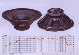 12FR Passed Voice Coil