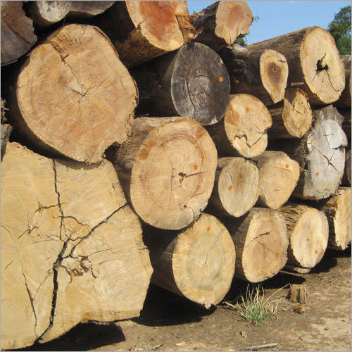 Ghana Teak Timber