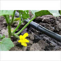 Drip Irrigation System