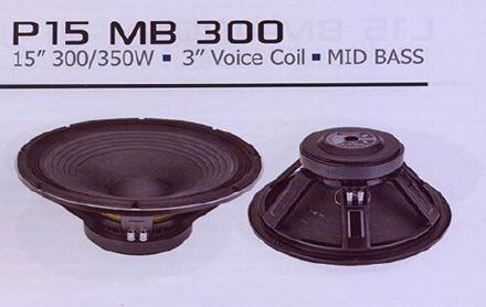 P15 एमबी 300 मिड बास स्पीकर