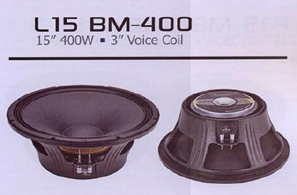bm speaker 18 inch