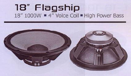 1000 watt bass speaker