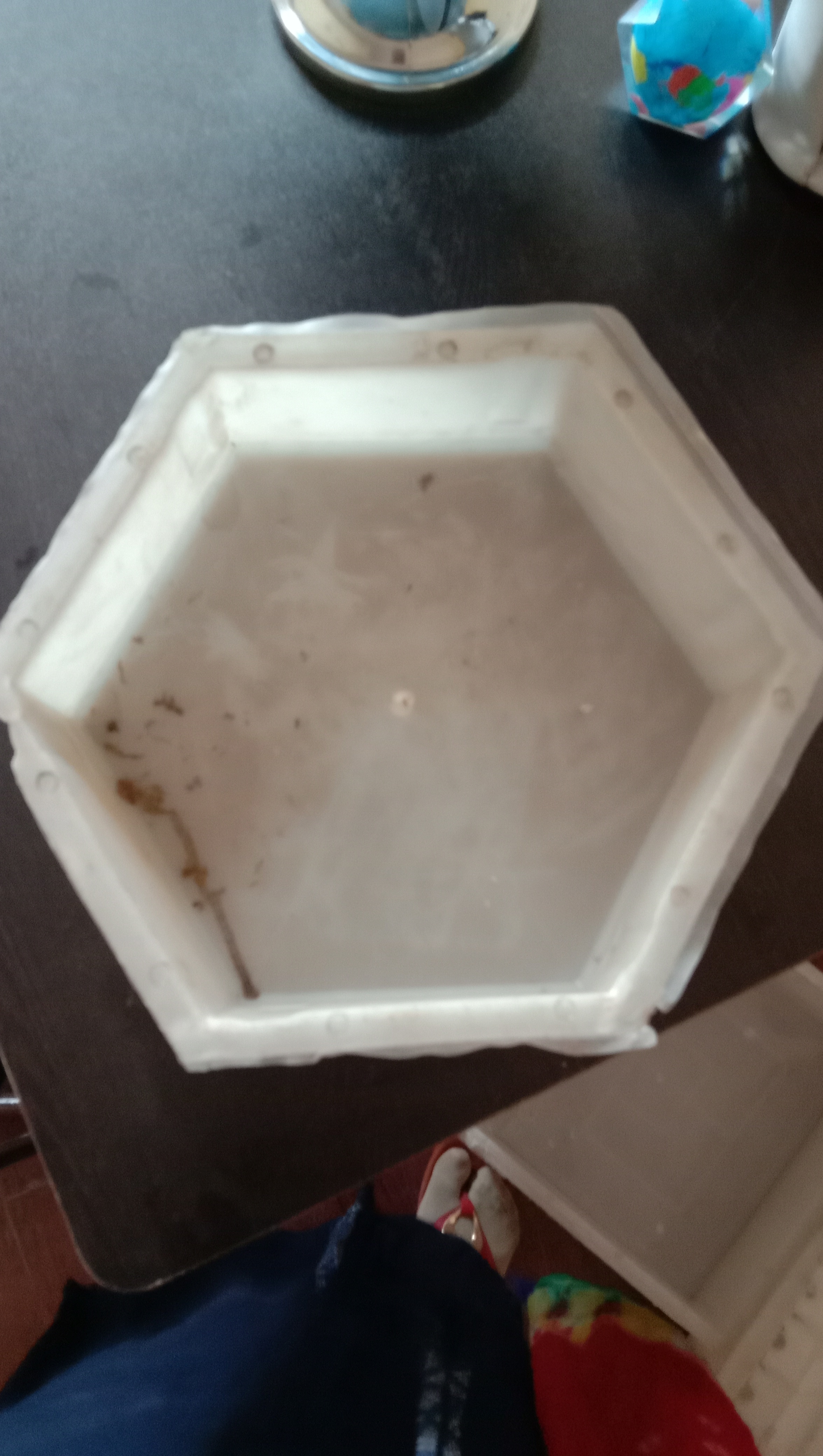 Plastic Die