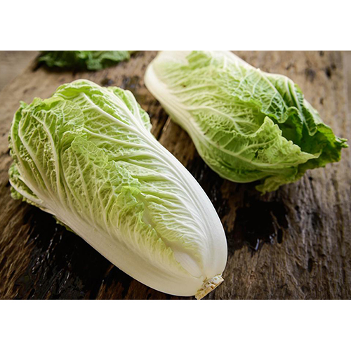 Chinese Cabbage