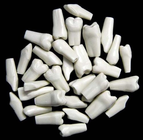 Typhodont Loose Teeth