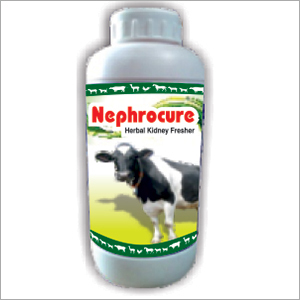 Nephrotake -l Herbal anti Gout and Diuretic