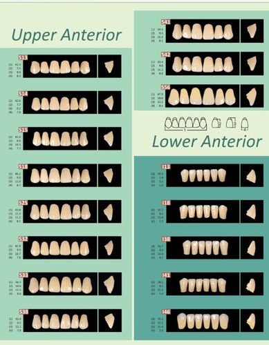 Prestorock 2 Layer Acrylic Teeth