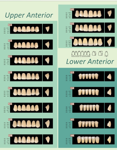 Prestorock 2 Layer Acrylic Teeth