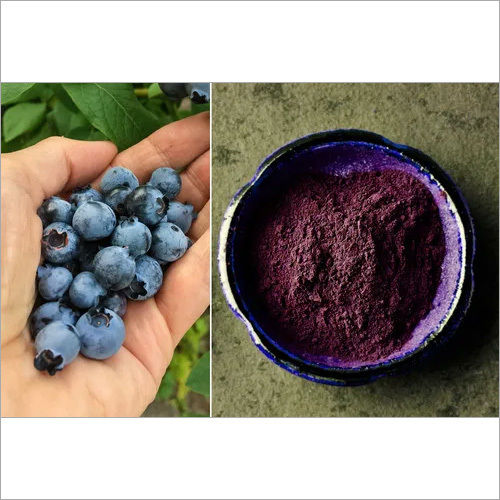 Blueberry fruit powder