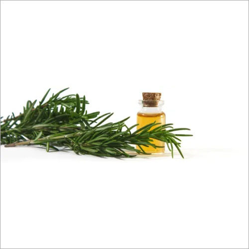 Rosemary Extract