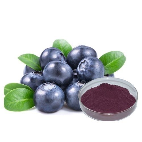 Bilberry Extract By Mirtillo International