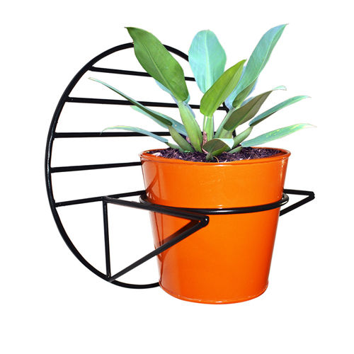 Ascent Homes Wall Mount Metal Planter Dimensions: Stand - 5.6 Inch (In)