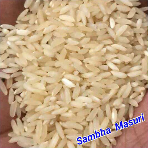 Sambha Masuri Rice