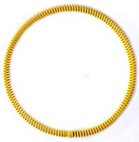 Oil Seal Spring