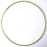 Oil Seal Spring