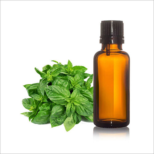 Basil Oil Holy