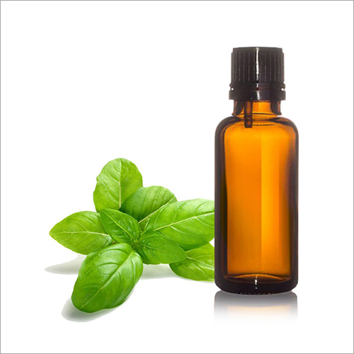 Basil Oil Sweet