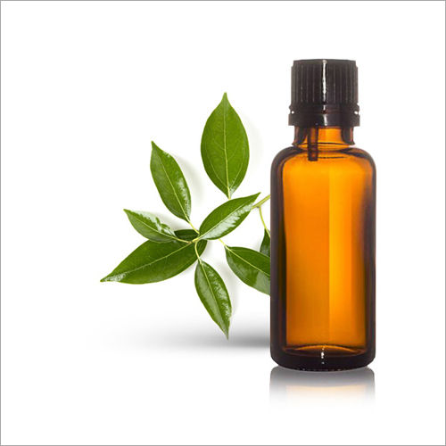 Camphor Oil