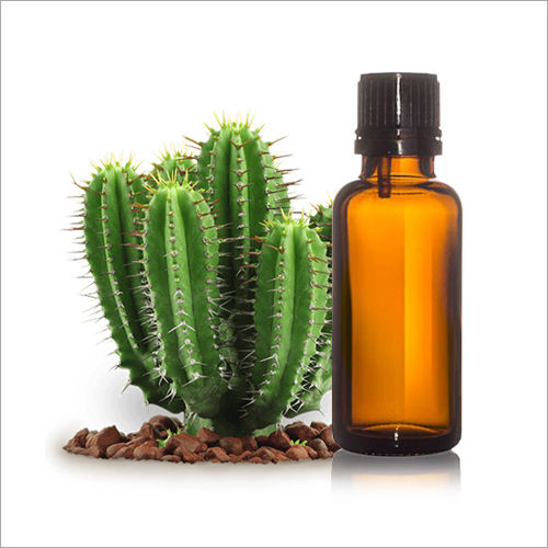 Cactus Seed Oil
