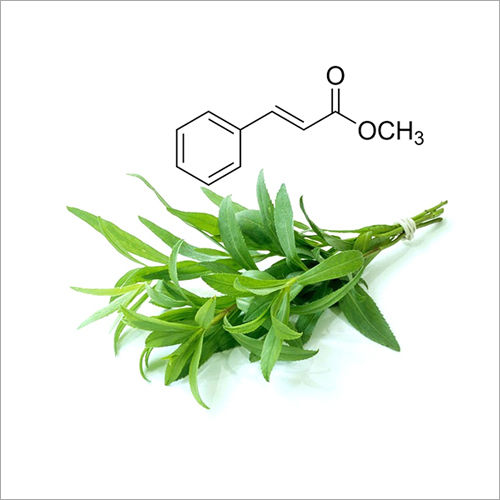 Methyl Chavicol Natural