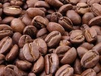 Coffee Arabica Beans - Cultivation Type: Common