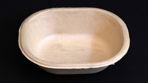 Disposable Bagasse Bowl Application: Commercial