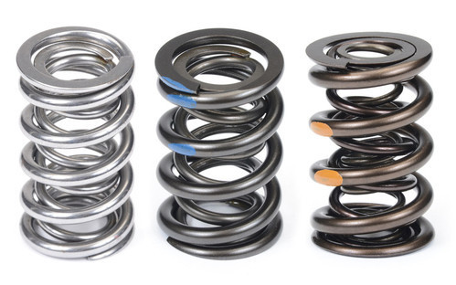 Valve Spring
