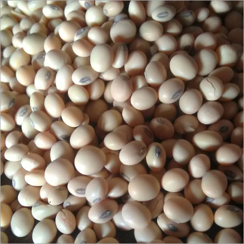 Soyabean Seeds