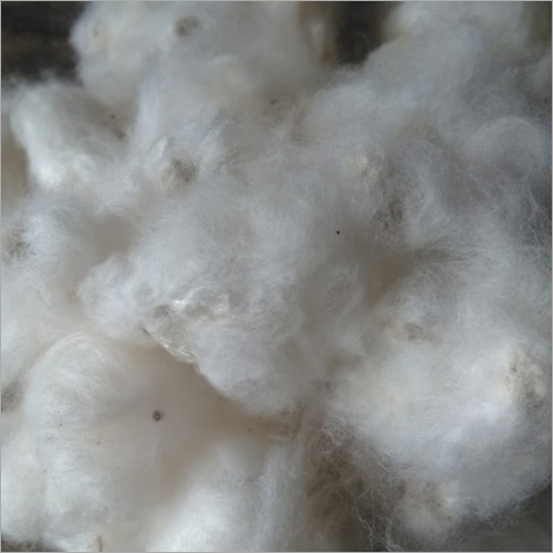Raw Cotton Waste