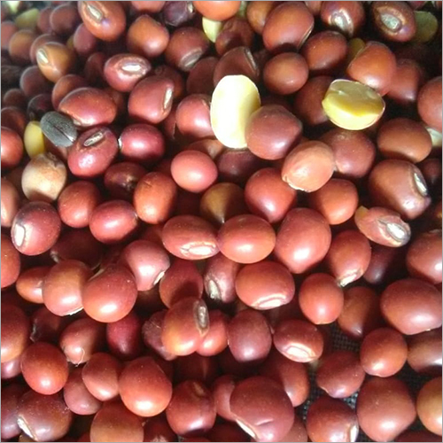 Arhar Seeds