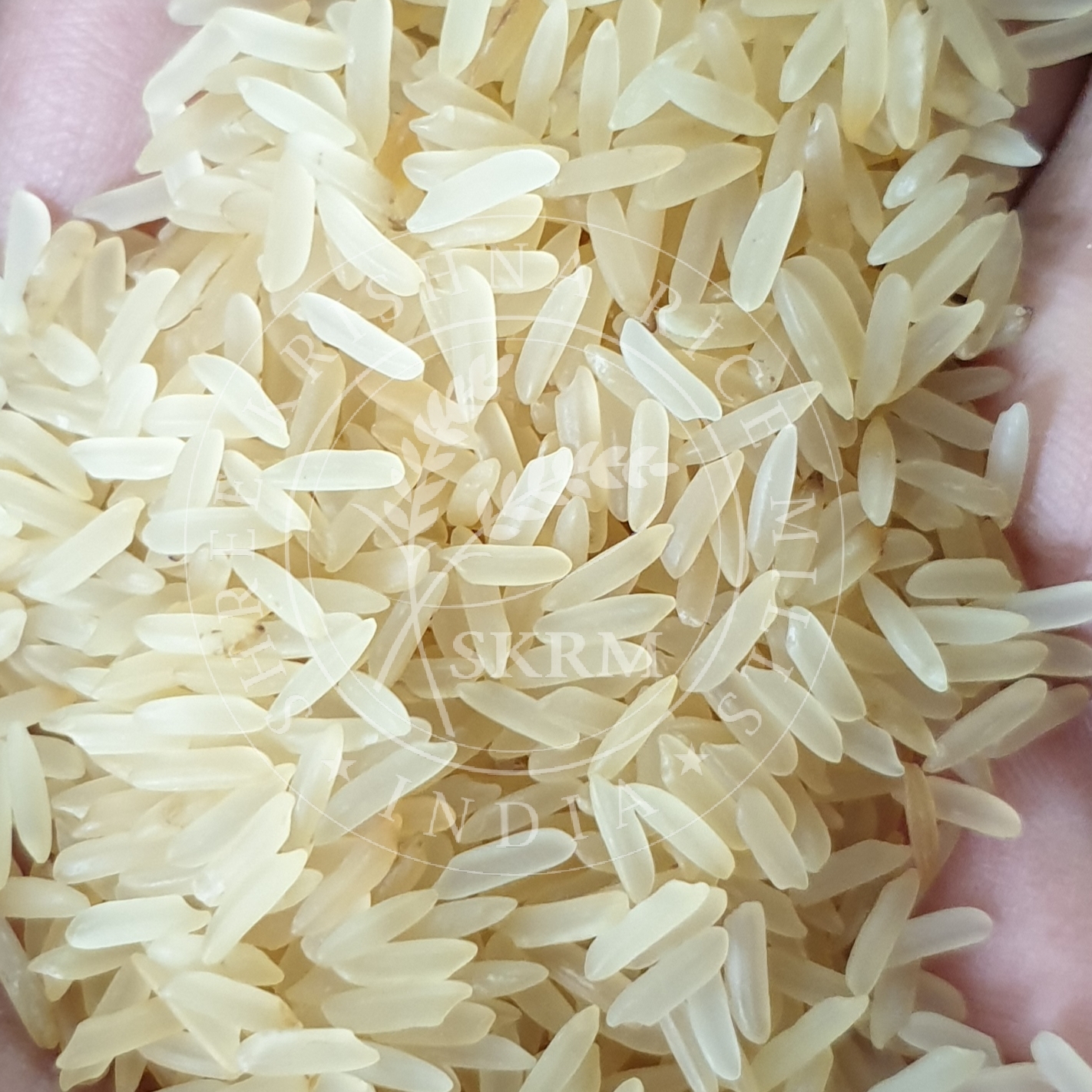 PR14 Golden Sella Non Basmati Rice